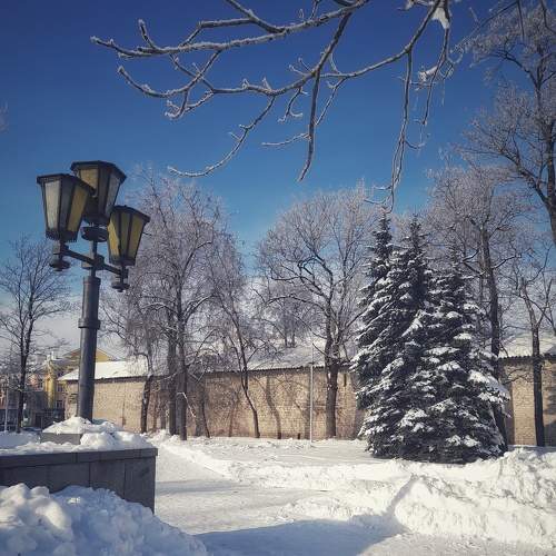 Photo #8965037