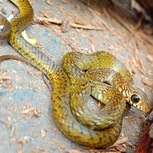 Photo #8965067