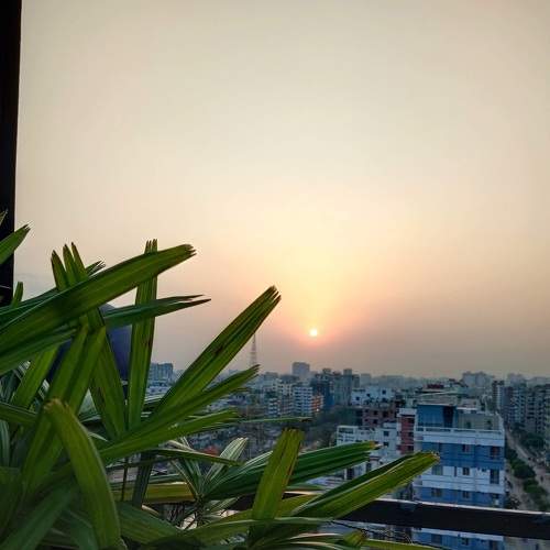 Photo #8965126