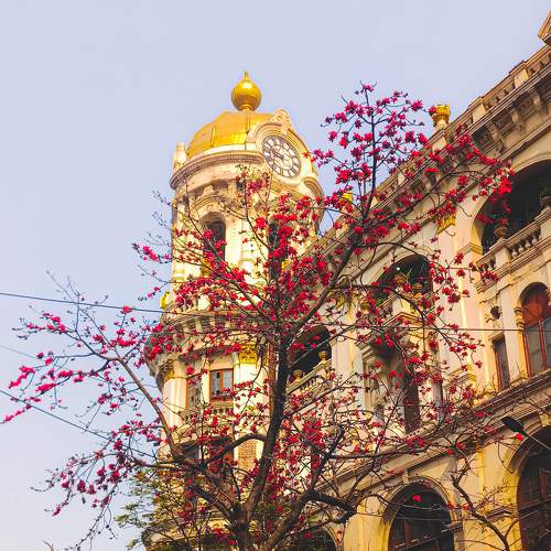 Photo #8965315