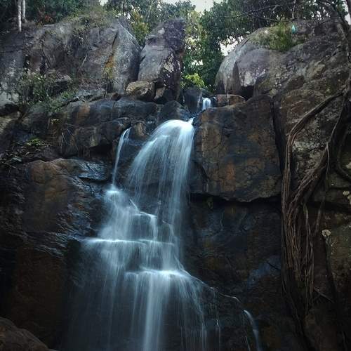 Photo #8965425