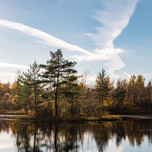 Photo #8965677