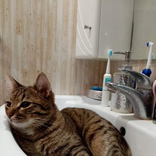 Photo #8965786