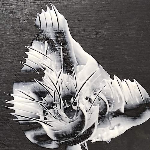 Photo #8965794