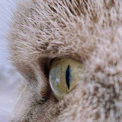 Photo #8965823