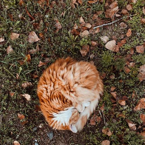 Photo #8965825
