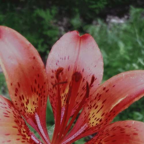 Photo #8965902