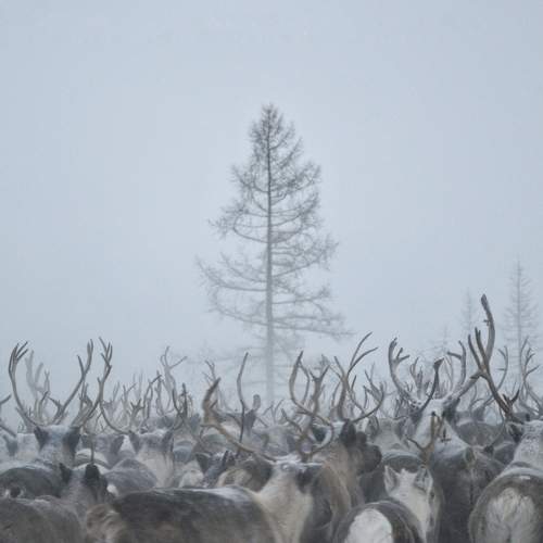 Photo #8966122