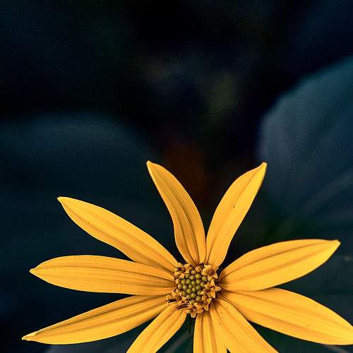 Photo #8966267