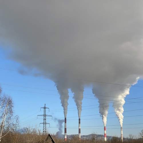 Photo #8966713