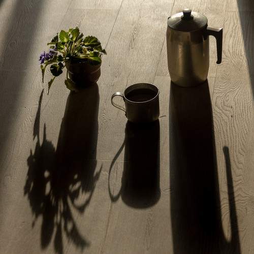 Photo #8966717