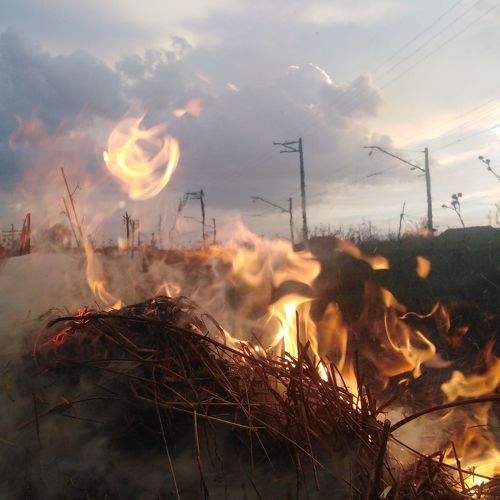 Photo #8967345