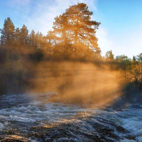 Photo #8967425