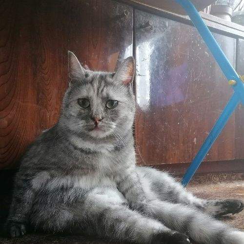 Photo #8967515