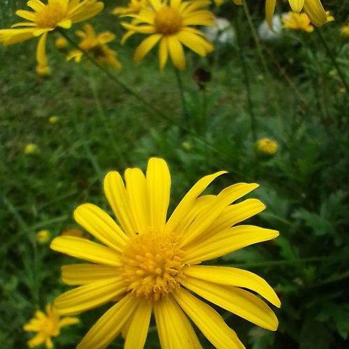 Photo #8967642