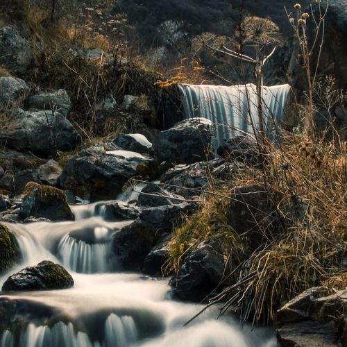 Photo #8967647
