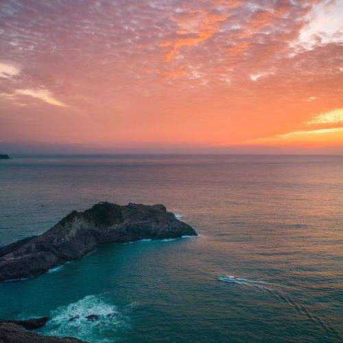 Photo #8967791