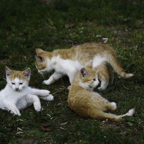 Photo #8967873