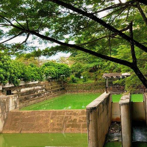 Photo #8968276