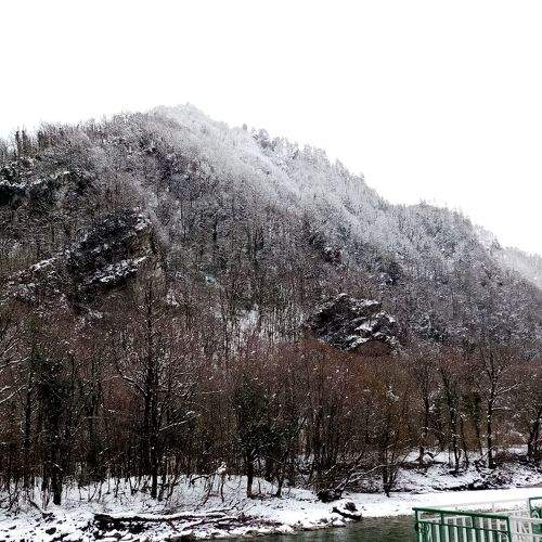 Photo #8968518