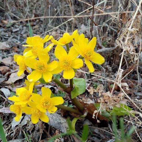 Photo #8968553