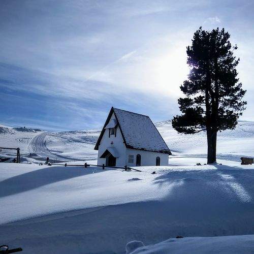 Photo #8968592