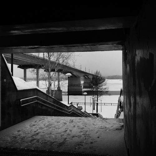Photo #8969011