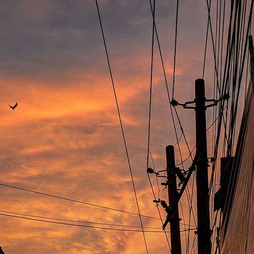 Photo #8969101
