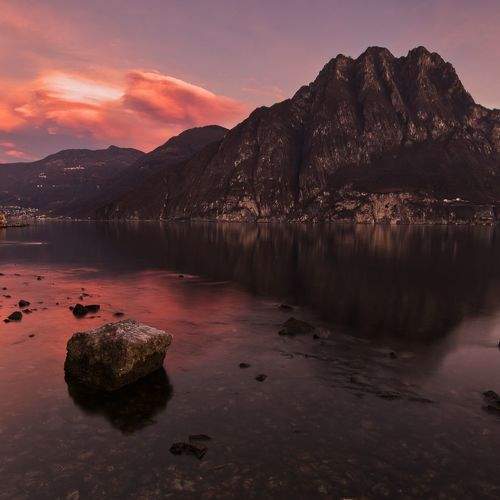 Photo #8969135