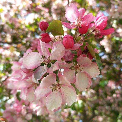 Photo #8969297