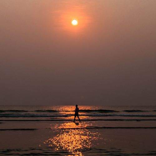 Photo #8969421