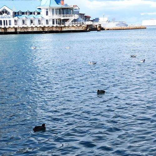 Photo #8969433