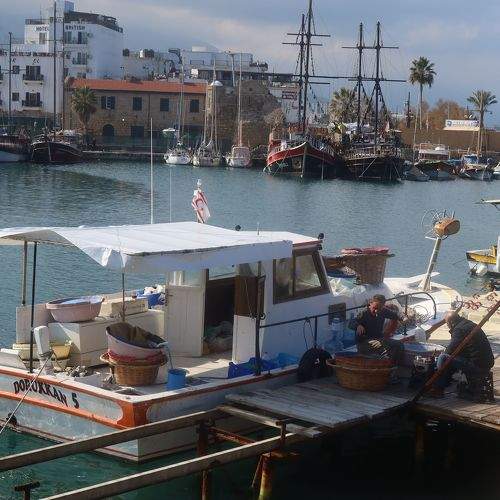 Photo #8969824