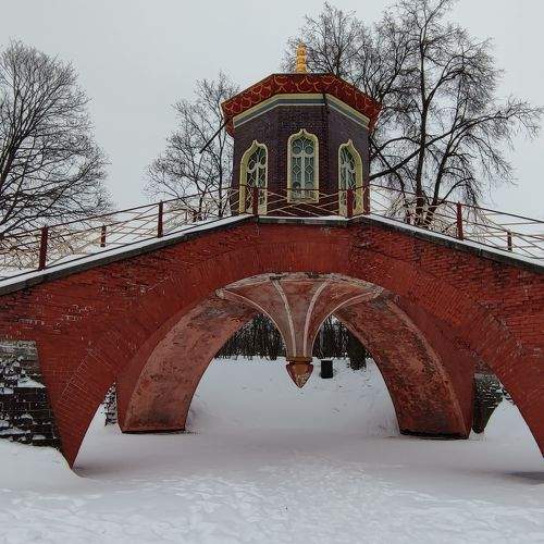Photo #8970024