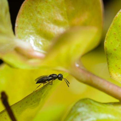 Photo #8970202