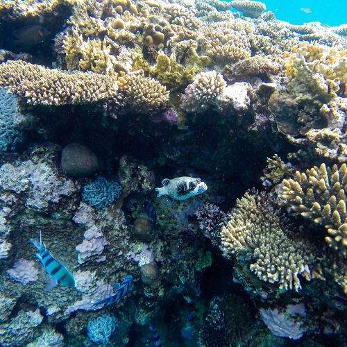 Photo #8970331
