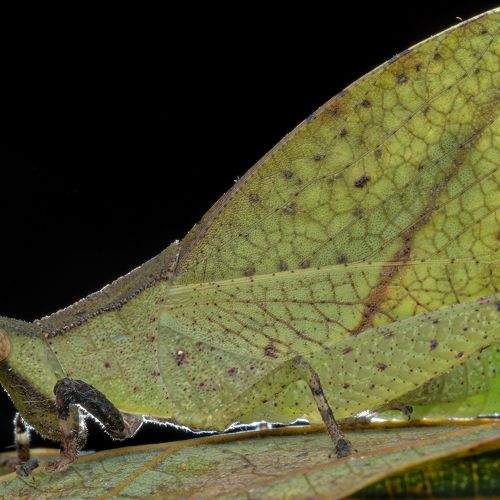 Фотография #8970476