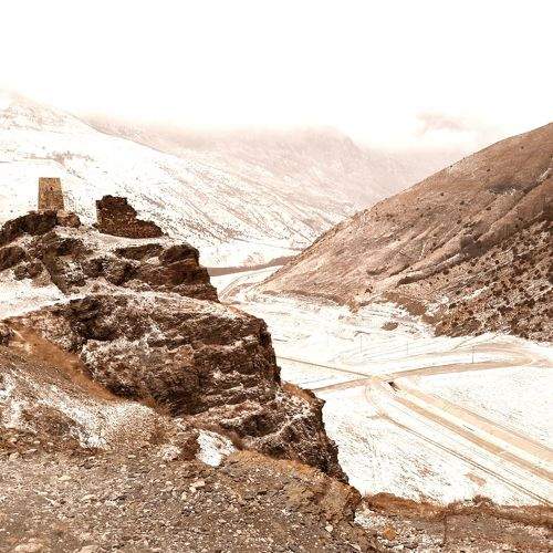 Photo #8970558
