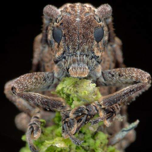 Фотография #8970612