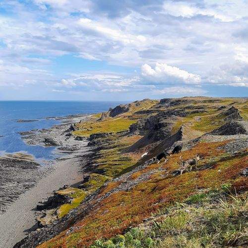 Photo #8970672