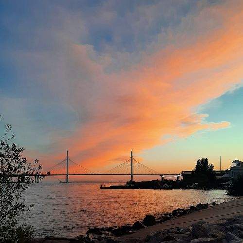 Photo #8970673