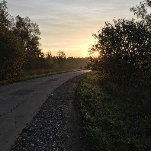Photo #8970791