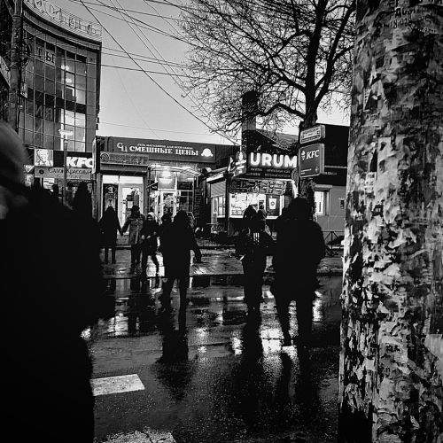 Photo #8970917