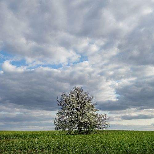 Photo #8971226