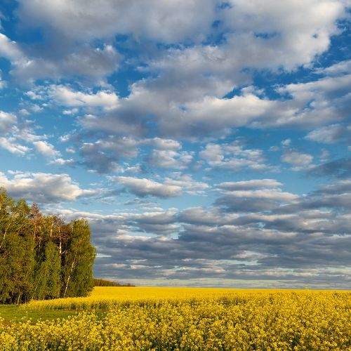 Photo #8971228