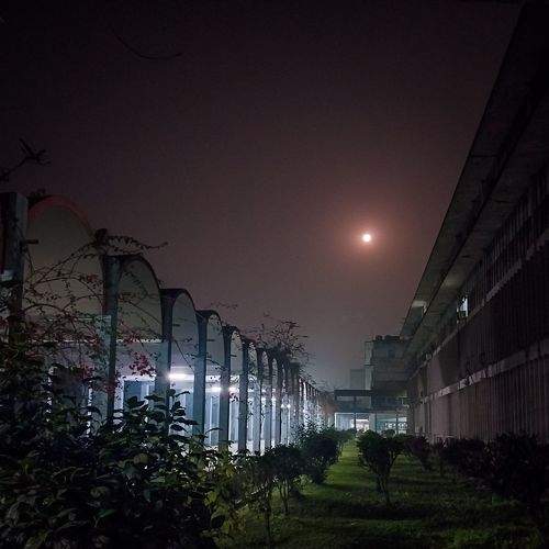 Photo #8971261