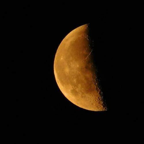 Photo #8971430