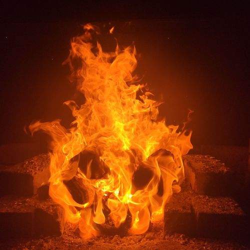 Photo #8971503