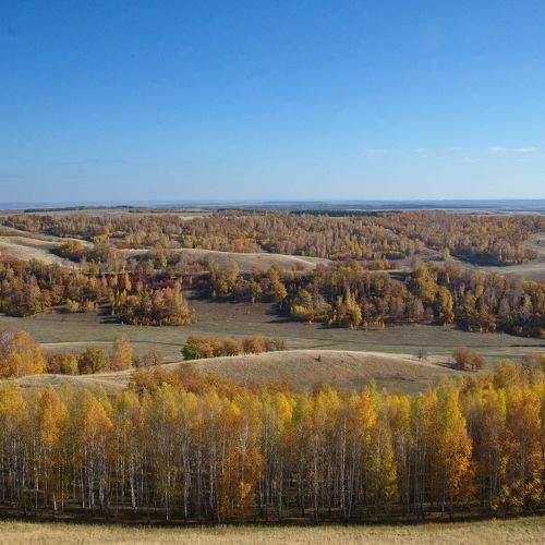 Photo #8971949