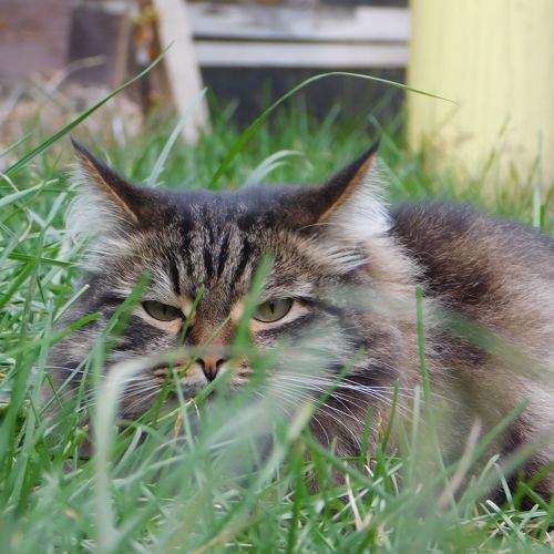 Photo #8972031